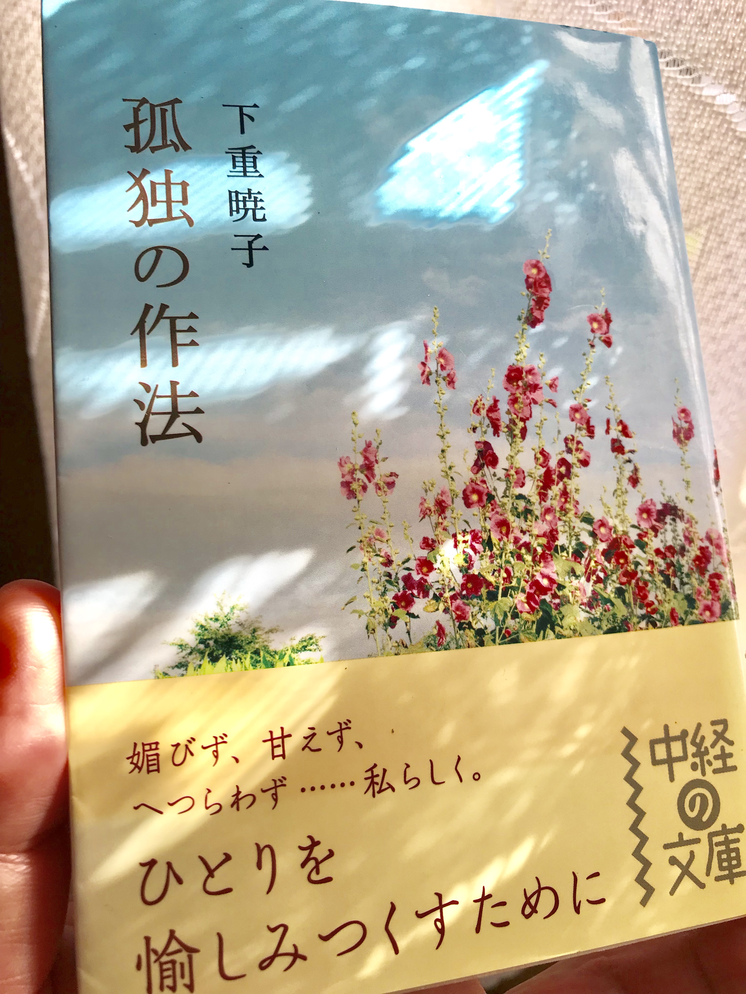 553F0F62-8802-49BF-A021-6AA3D2ABCB99.jpeg